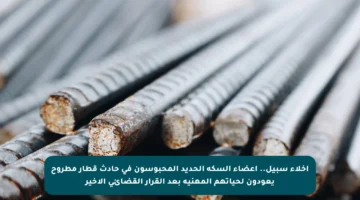 إخلاء سبيل.. أعضاء السكة الحديد المحبوسون في حادث قطار مطروح يعودون لحياتهم المهنية بعد القرار القضائي الأخير